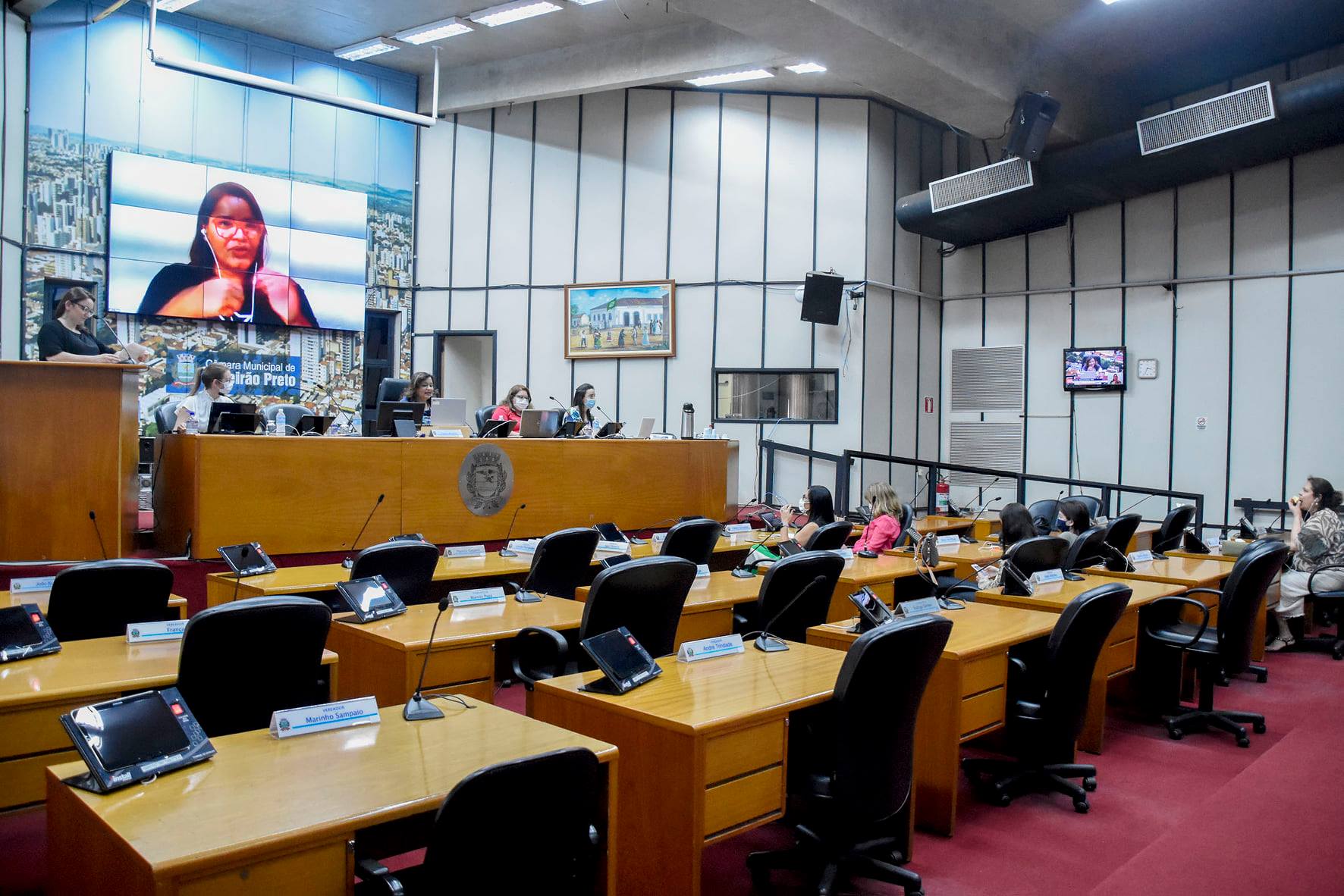 Câmara realizou seminário sobre Síndrome Alcoólica Fetal