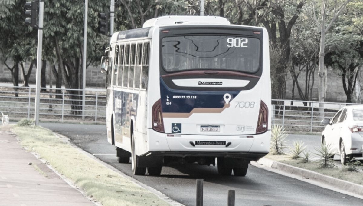 Câmara aprova matéria que proíbe “rabeira” em Ribeirão Preto