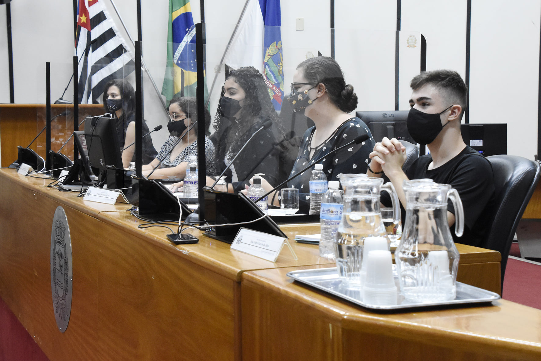 Parlamento Juvenil elege representantes das Comissões Permanentes