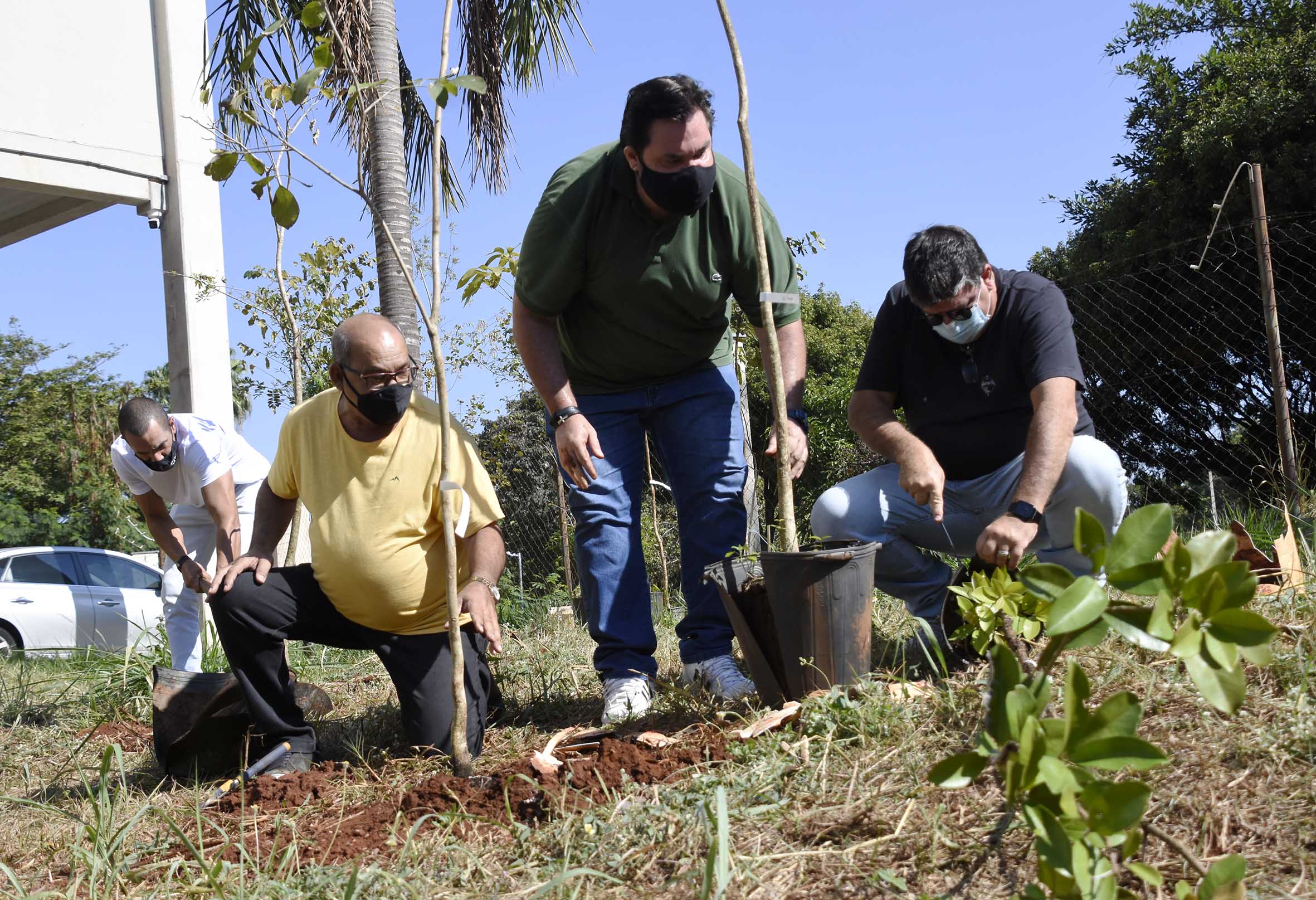 Câmara realiza plantio de árvores na Semana do Meio Ambiente