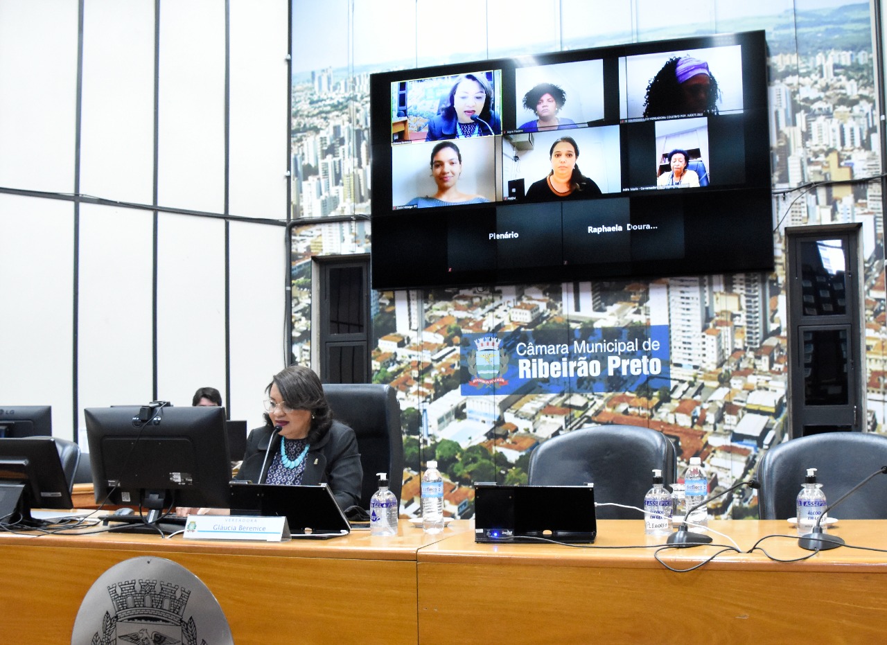 Comissão Permanente da Mulher ouviu coordenadora do NAEM