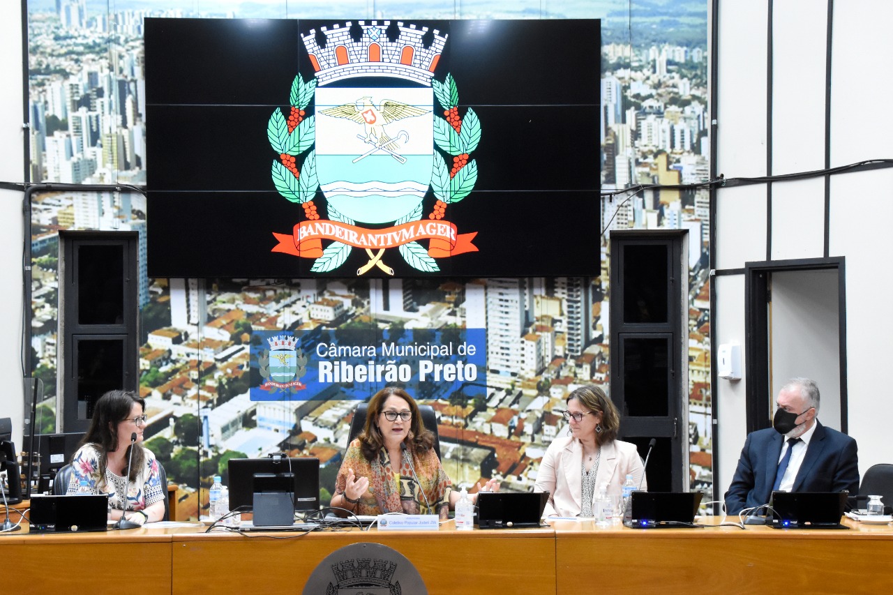 Lei Maria da Penha foi tema de audiência pública no legislativo