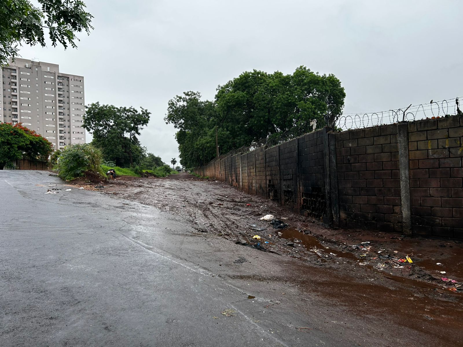 Rua Japurá limpa 2